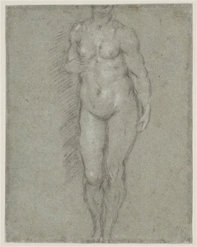 Donna nuda, in piedi, di fronte - Museo del Louvre, Parigi